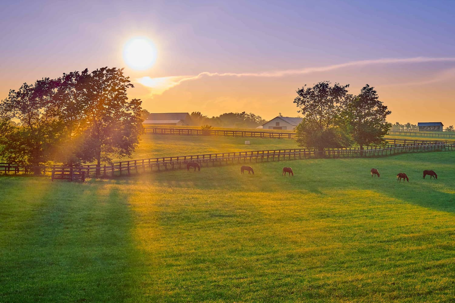 faste-og-refeeding-syndrome