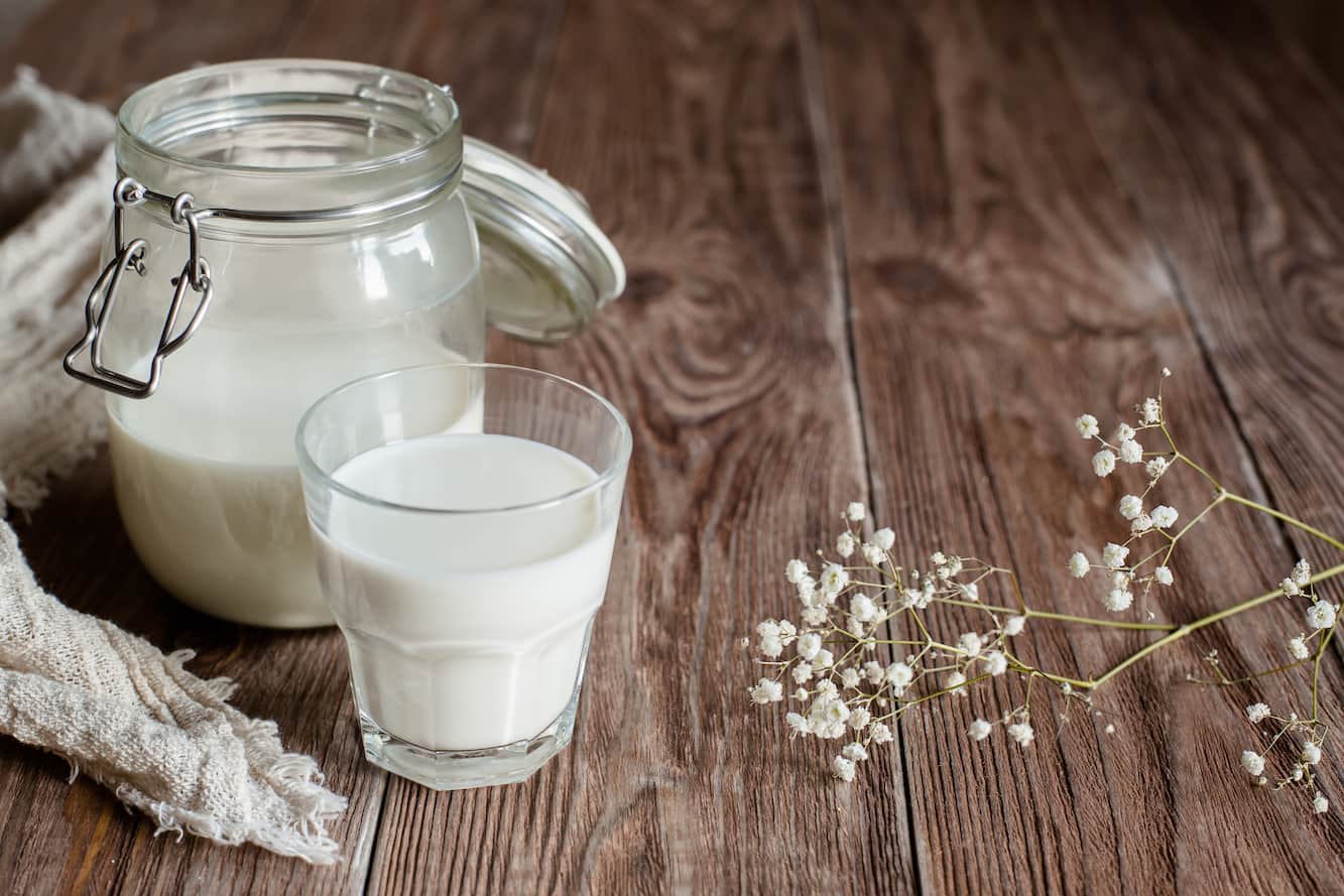 Hjemmelaget kefir og surmelk på carnivore