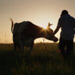 Ekte-mat-har-en-ingrediens