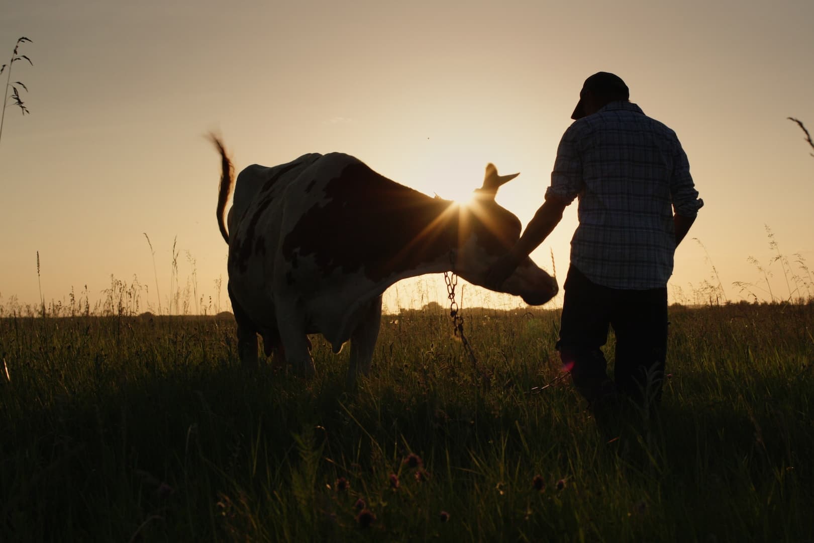Ekte-mat-har-en-ingrediens